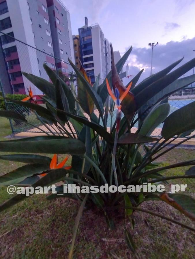 Apto Cond Ilhas Do Caribe - Pr - Beira Mar 마티뇨스 외부 사진