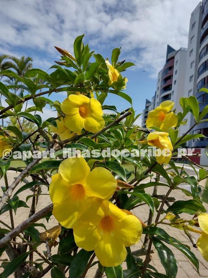 Apto Cond Ilhas Do Caribe - Pr - Beira Mar 마티뇨스 외부 사진